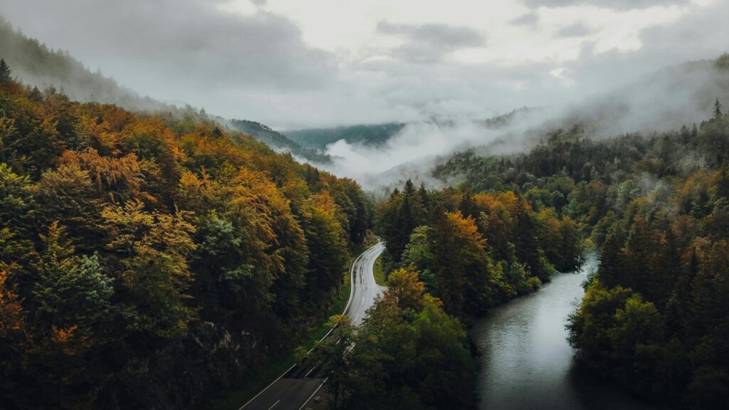 Aerial view of misty autumn forest with a winding river and road, creating a serene landscape.